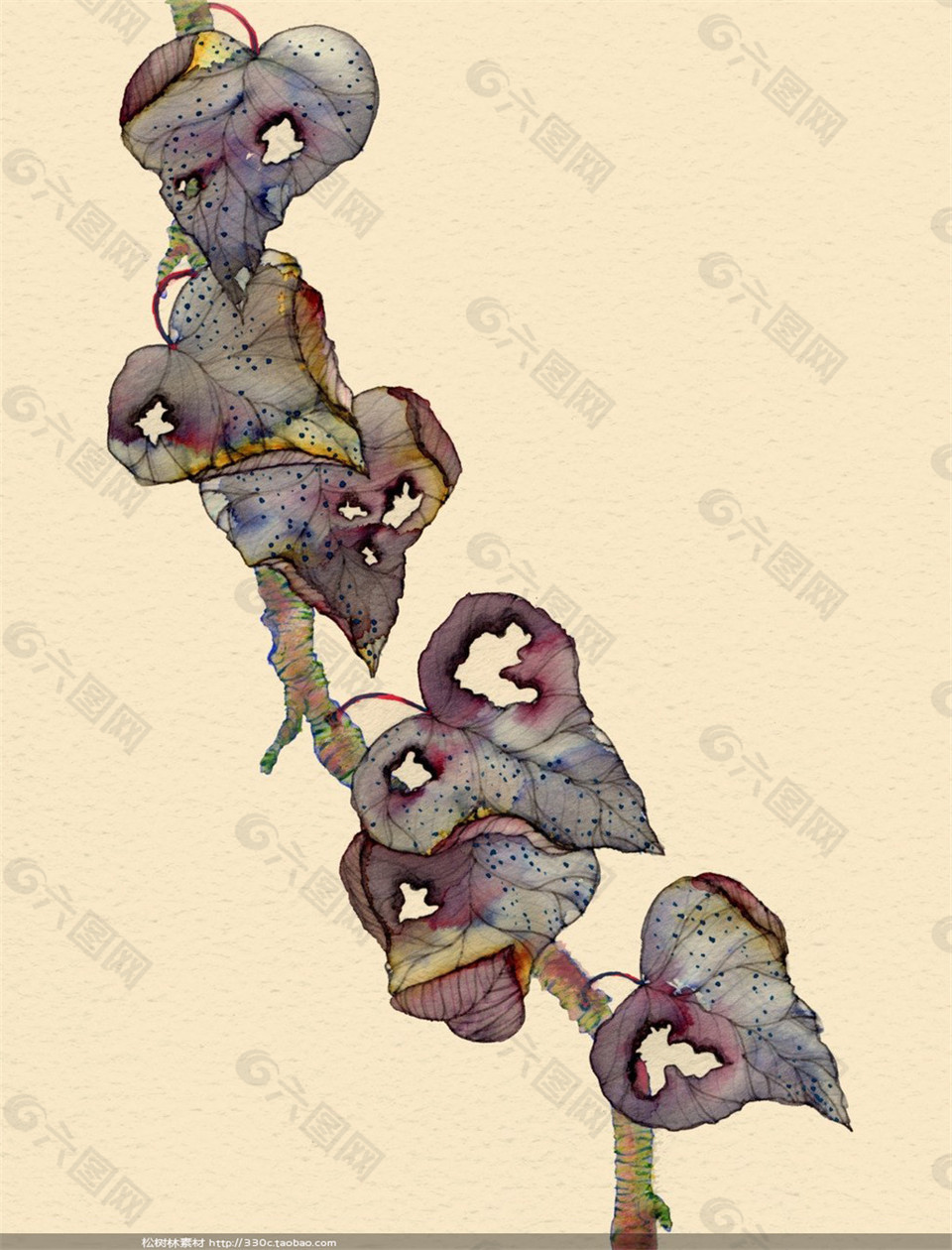 卡通藤叶植物图片