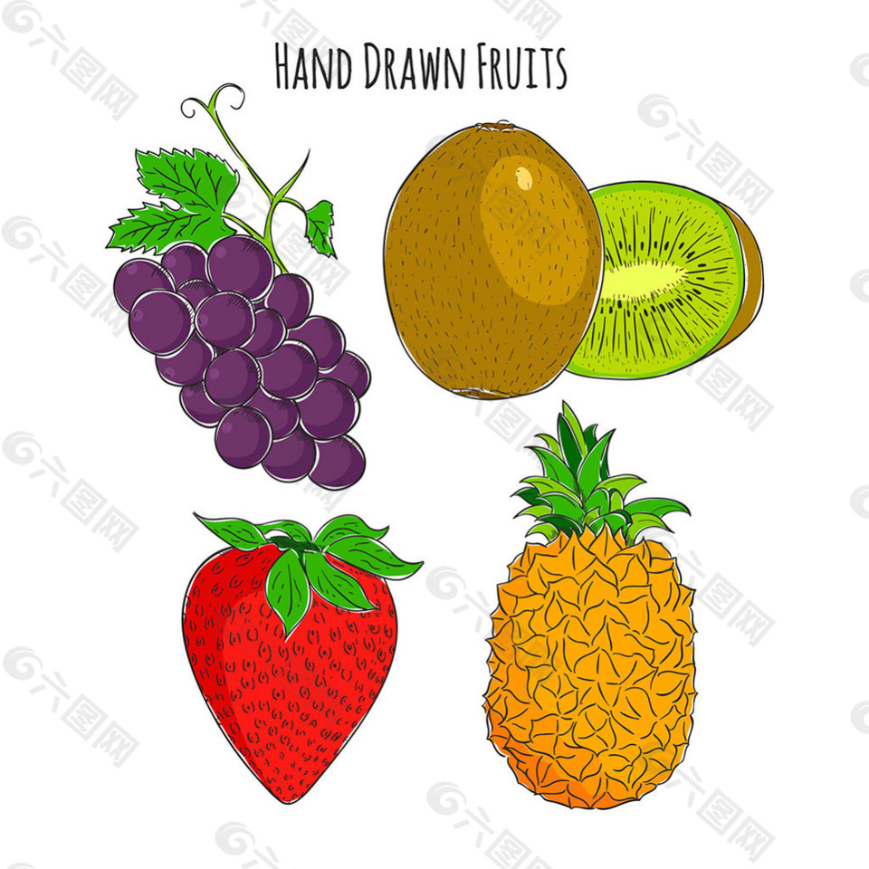 四个美味的手绘水果矢量素材