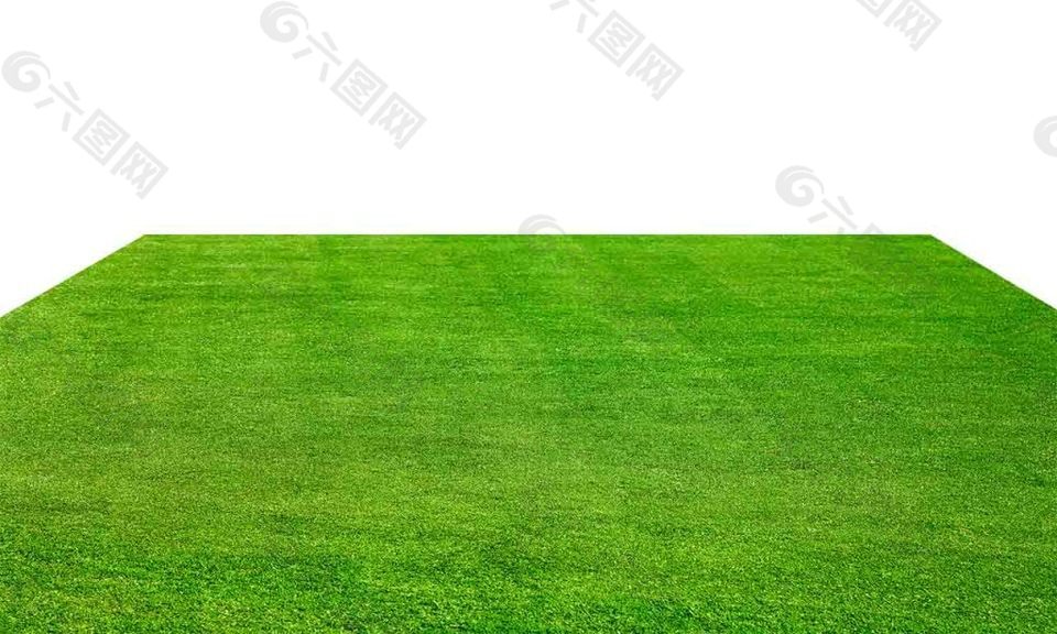 方形有绿色草坪
