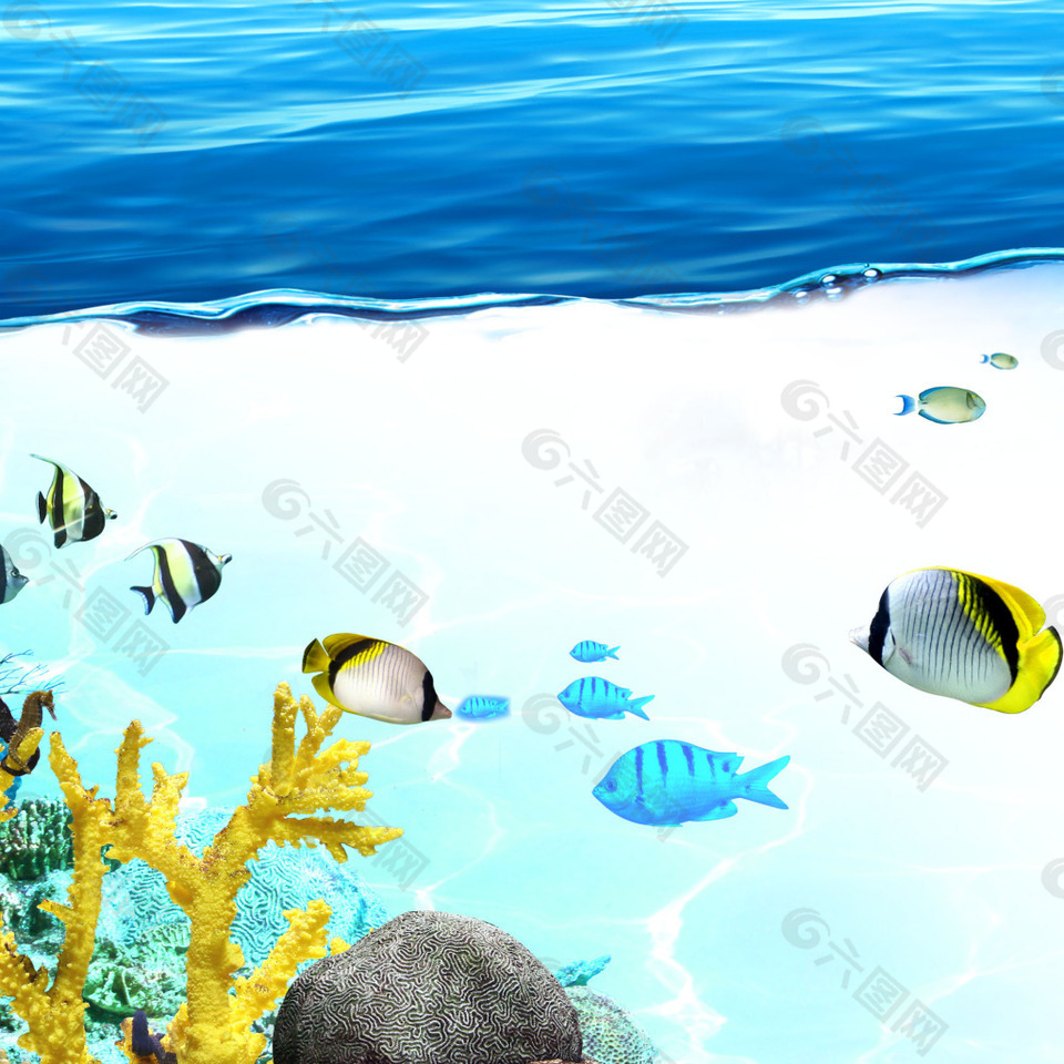 礁石鱼海水海底世界素材