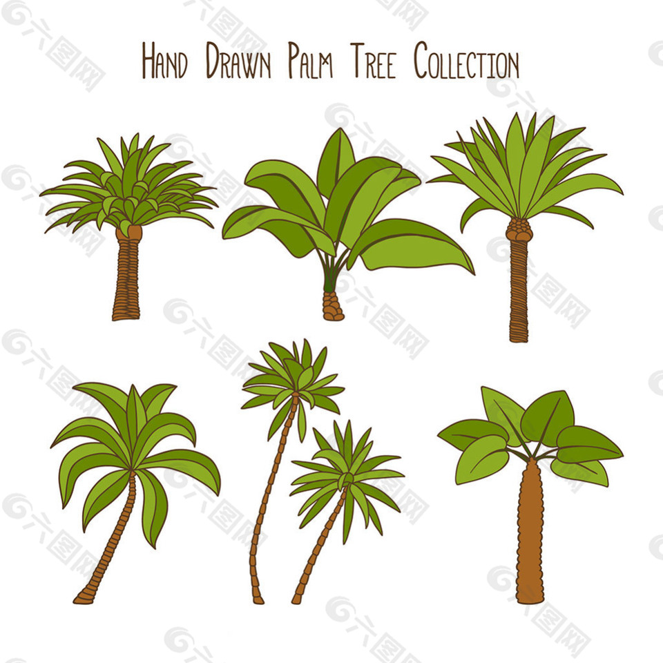 手绘棕榈树椰树矢量素材