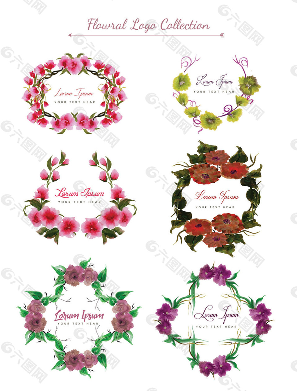 各种花卉装饰花边文字框