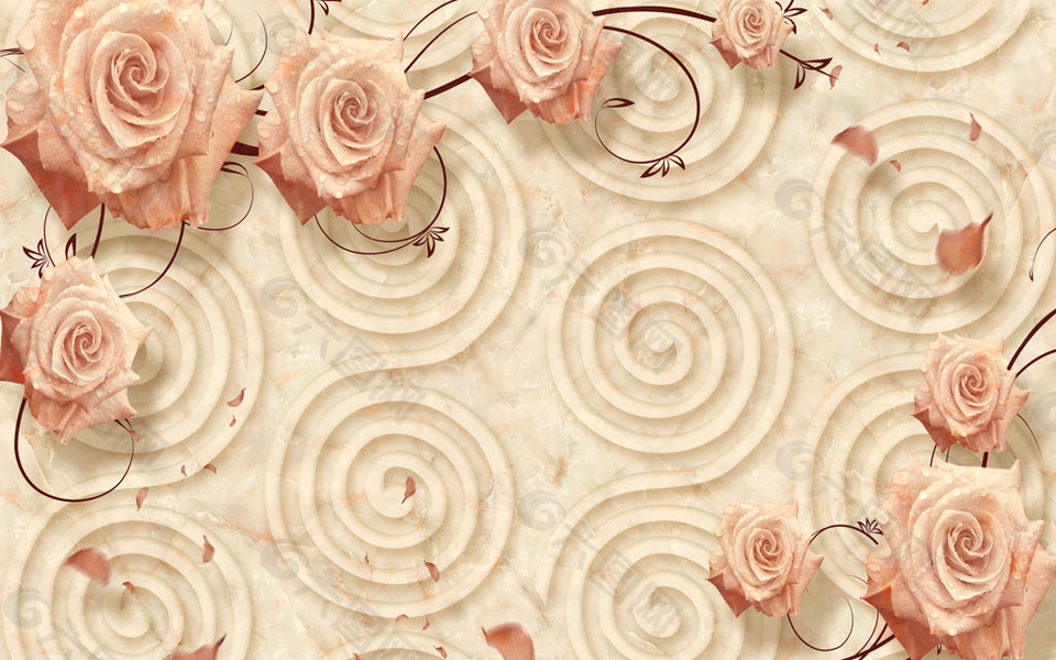 露珠玫瑰花螺旋图片