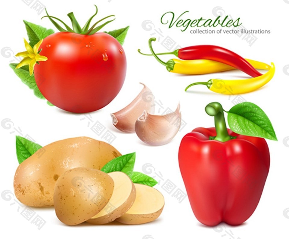 蔬菜背景素材