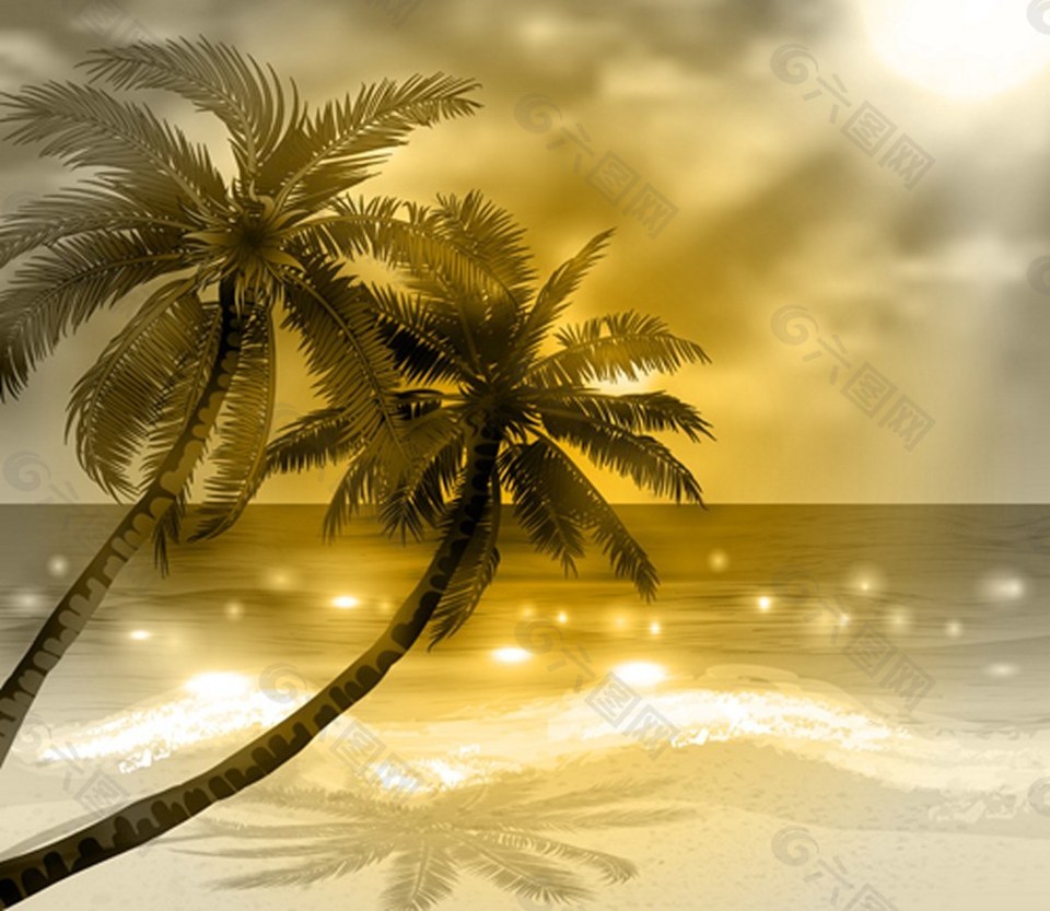 椰子树黄昏背景