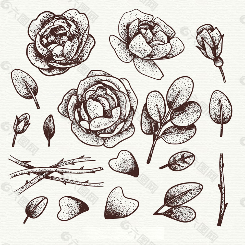 手绘玫瑰叶子插图集合