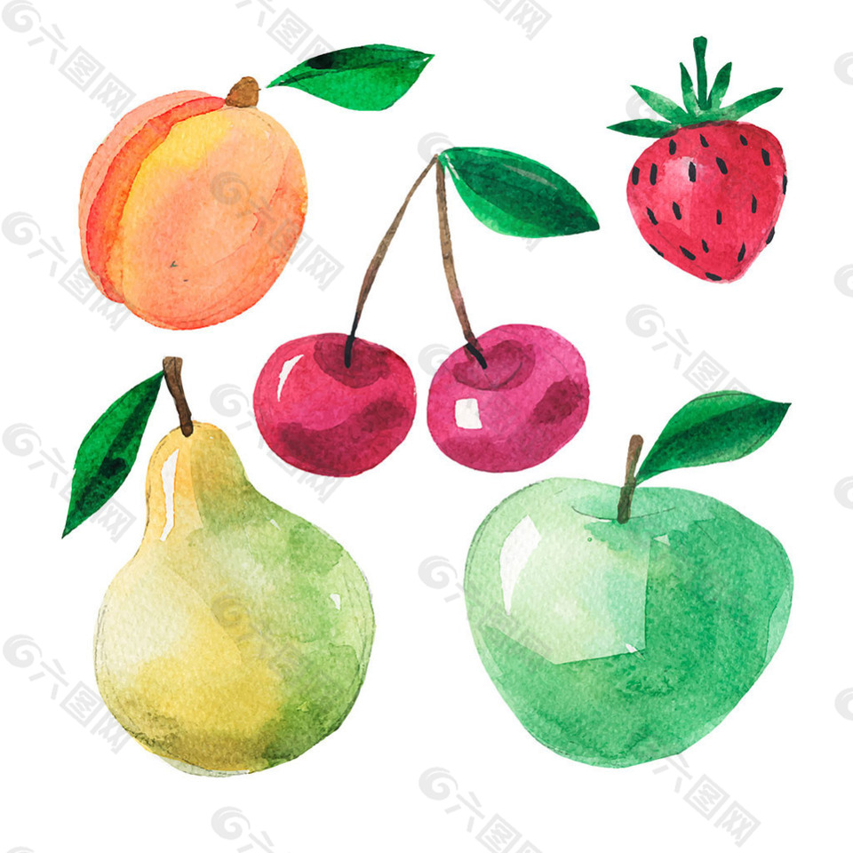 各种水彩效果水果插图