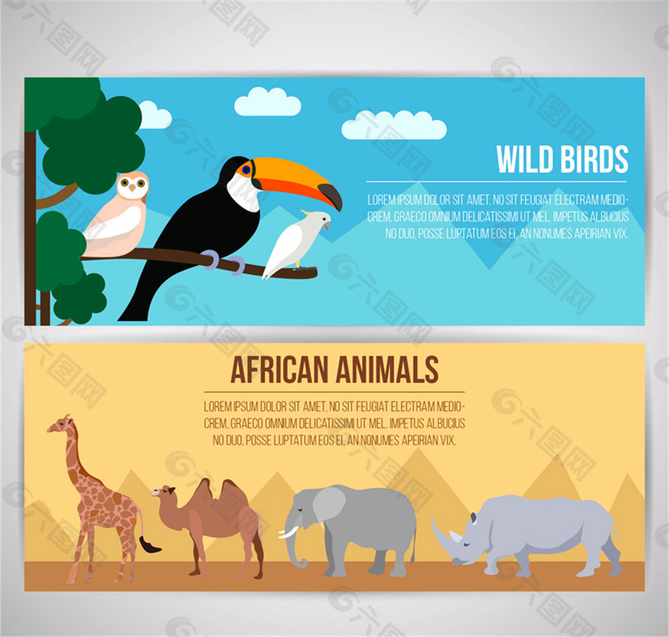 2款创意野生鸟类和非洲动物banner矢量素材