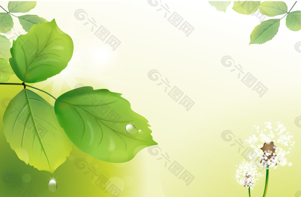 清新绿叶花朵背景