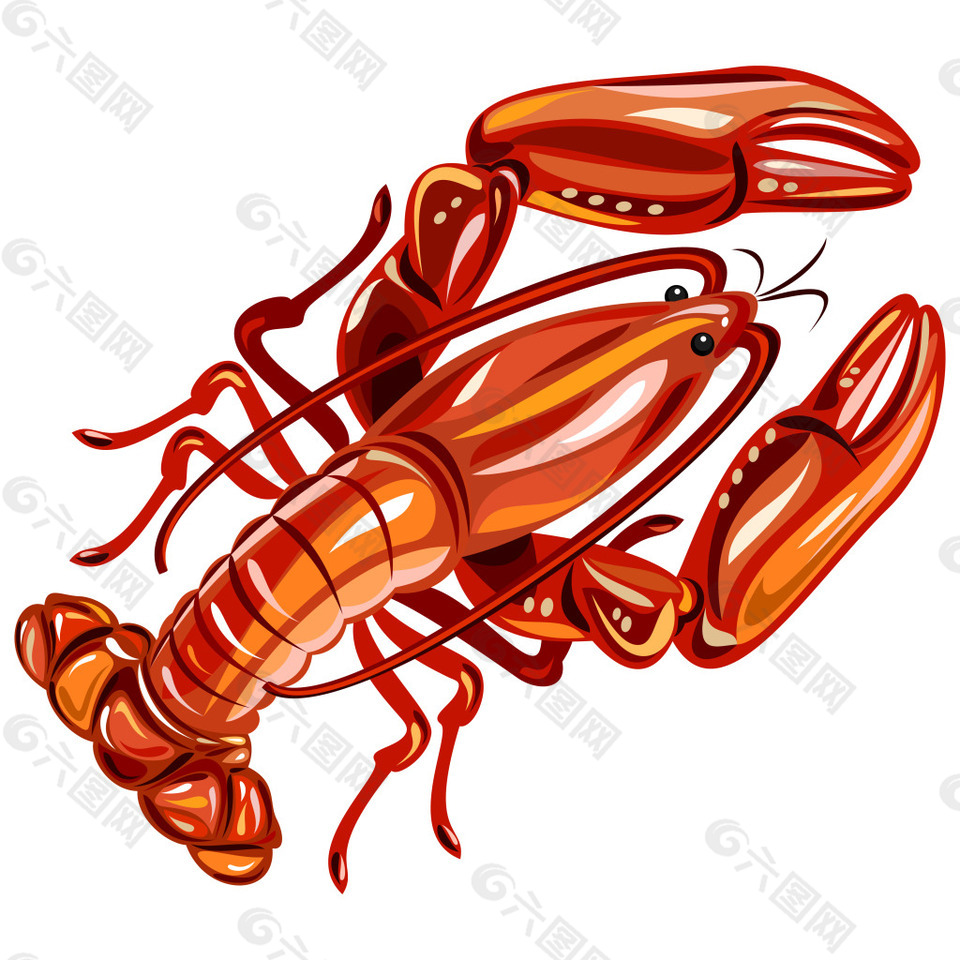 火红的小龙虾