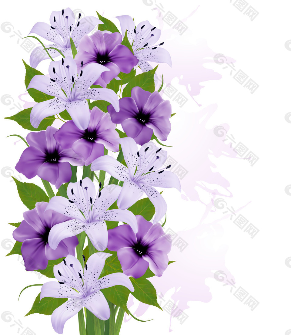 紫色百合花平面广告素材免费下载 图片编号 六图网