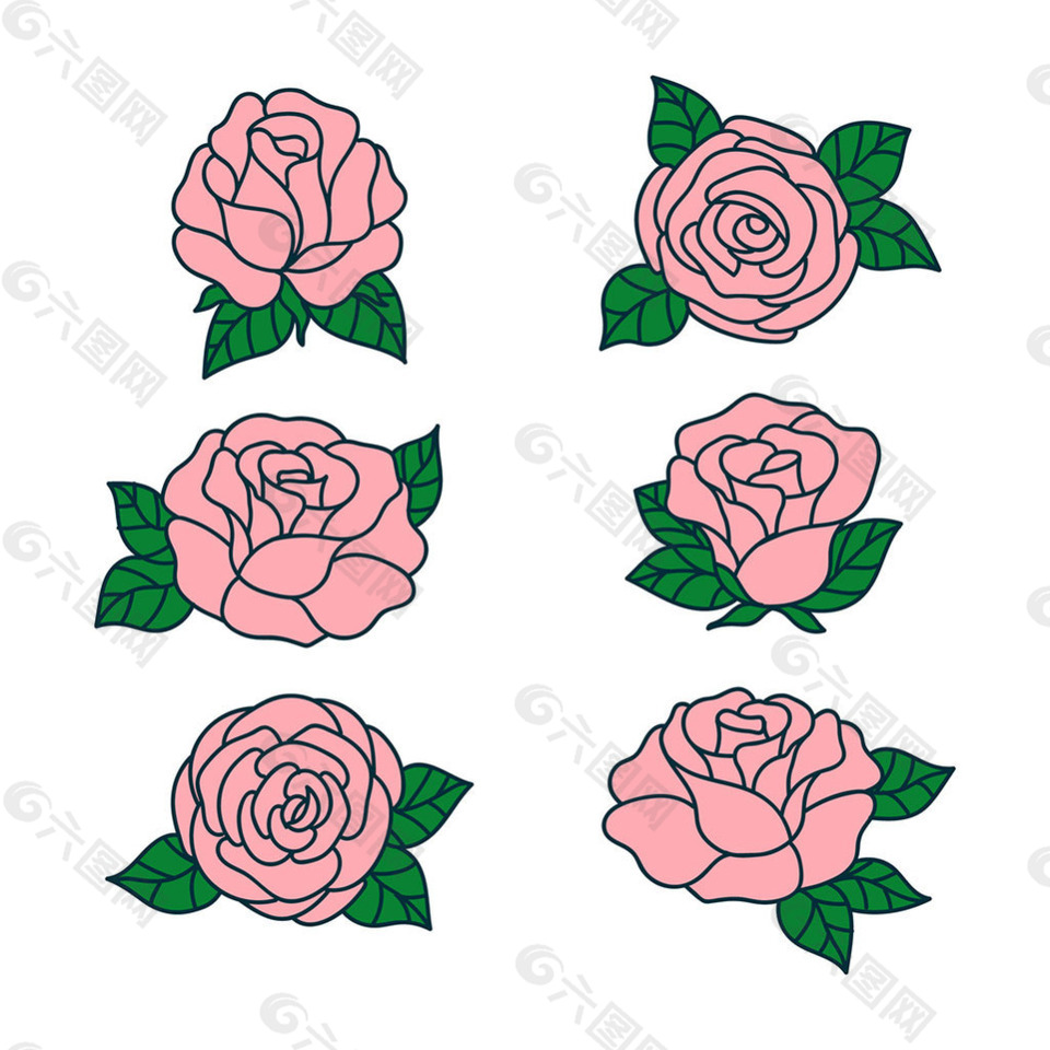 漂亮的手绘玫瑰插图