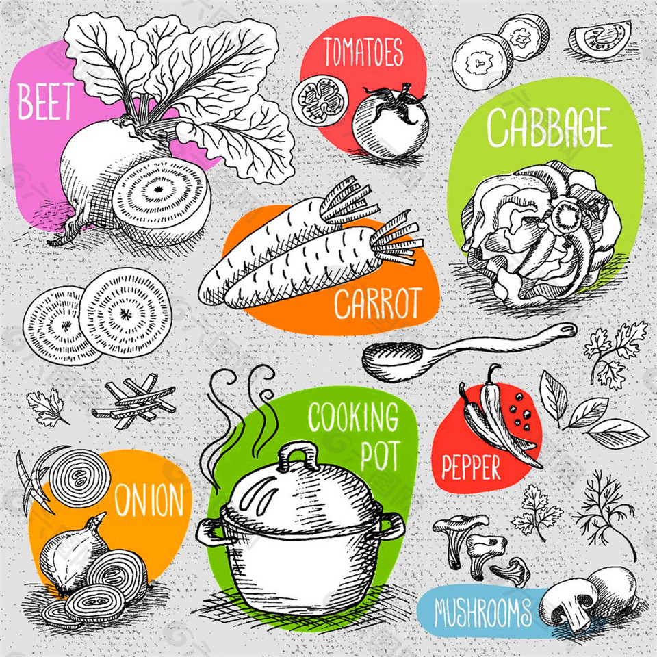 蔬菜素描插图图片