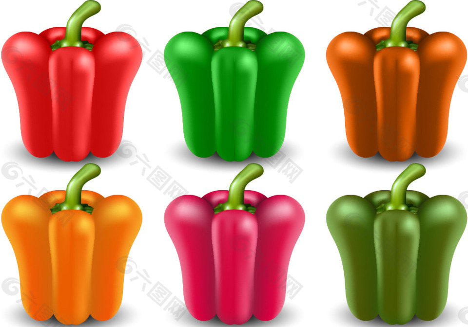 矢量辣椒素材