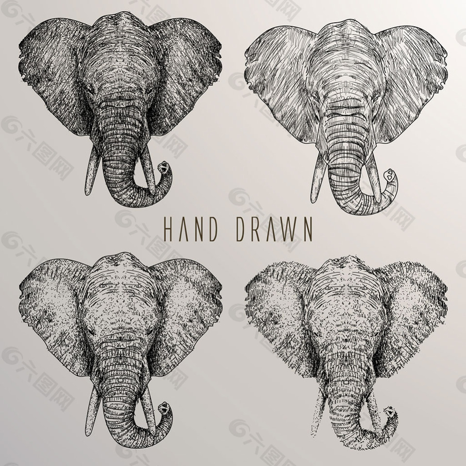 手绘素描风格大象的头插图