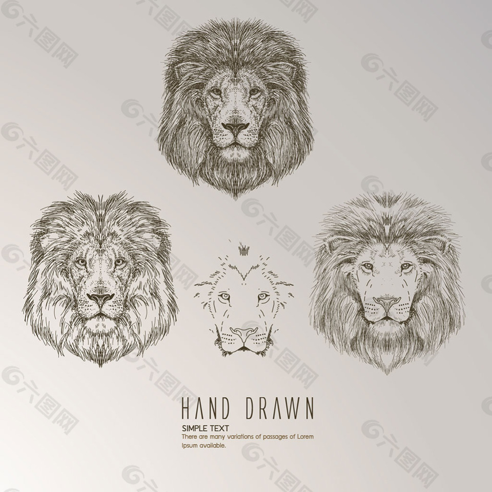 手绘素描风格狮子头插图