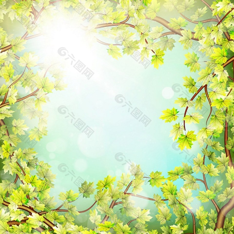 树叶矢量背景