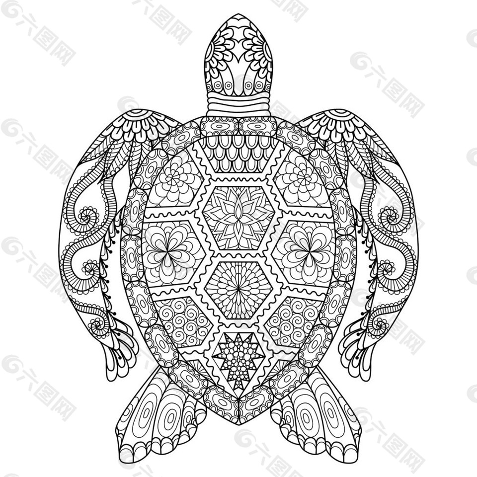 卡通海龟插画图片