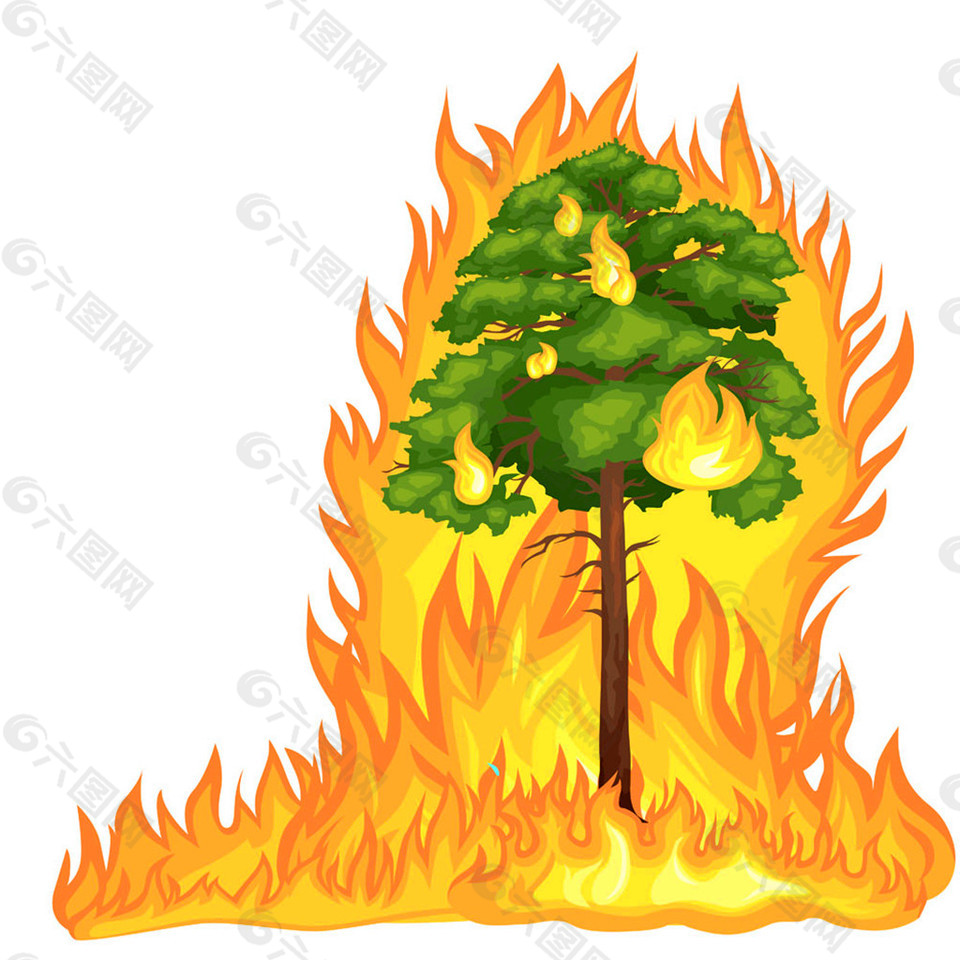 大火绿树图片