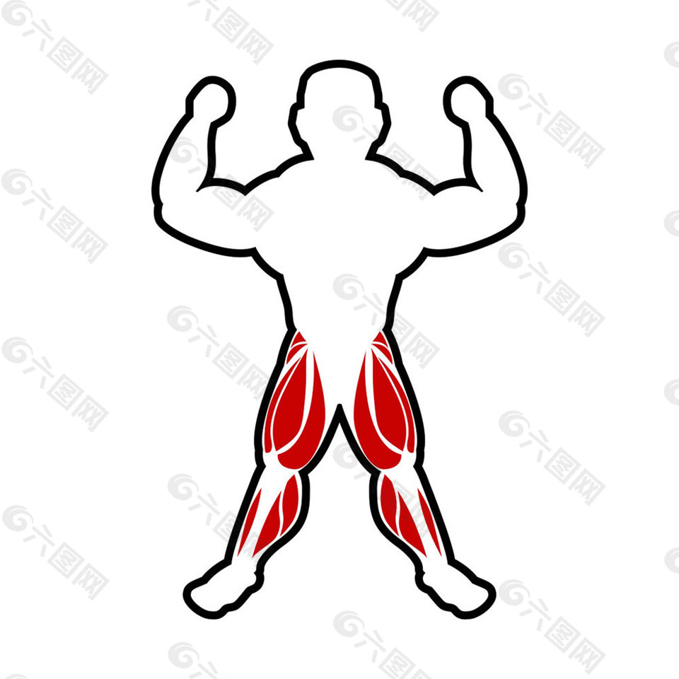 男性腿部肌肉图片