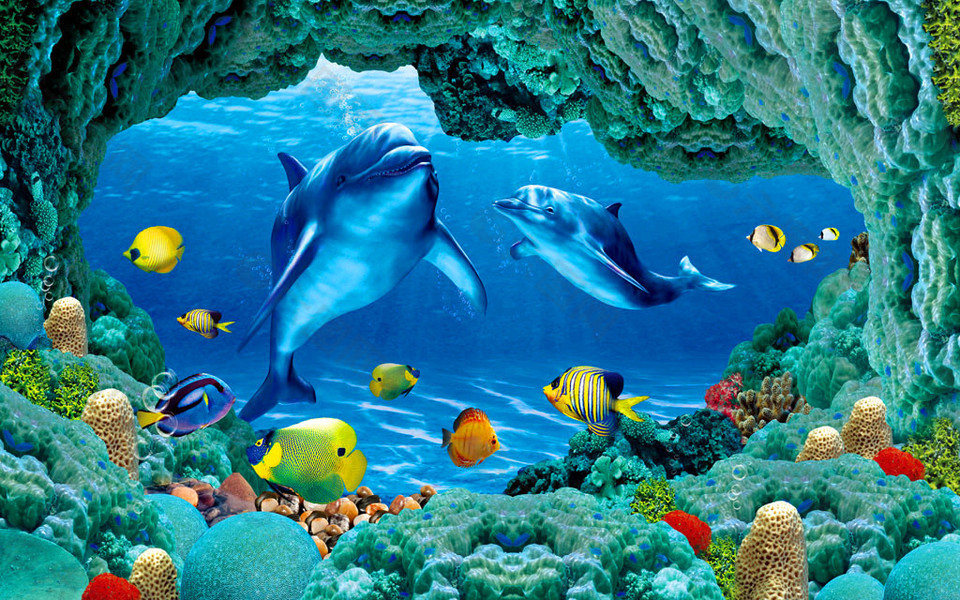 海豚背景墙图片