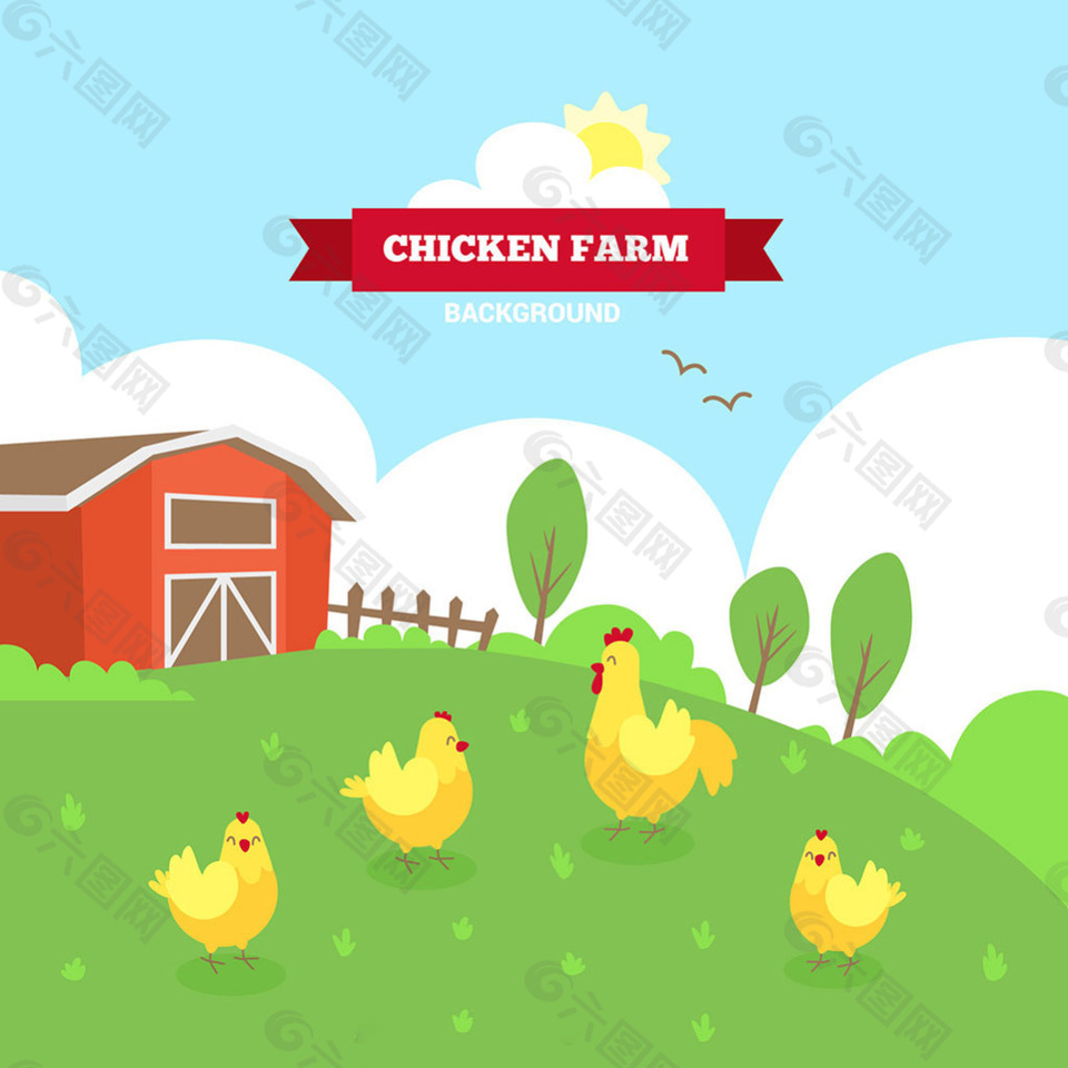 黄色母鸡绿色农场背景