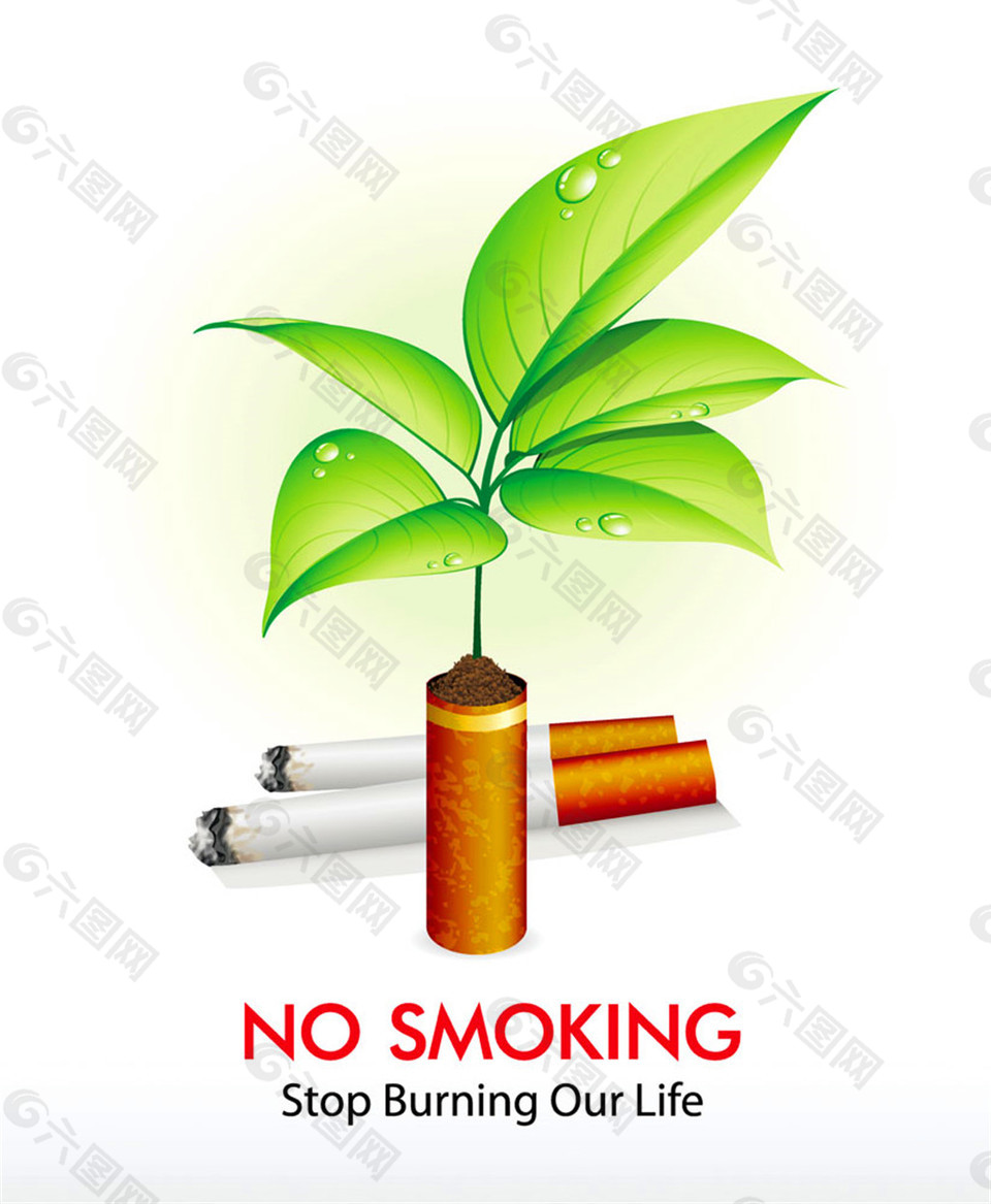 绿色植物与烟图片