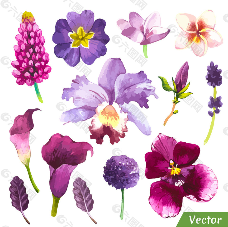 水彩绘紫色花朵