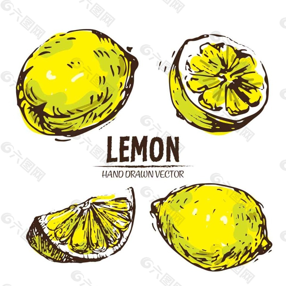 手绘柠檬插画
