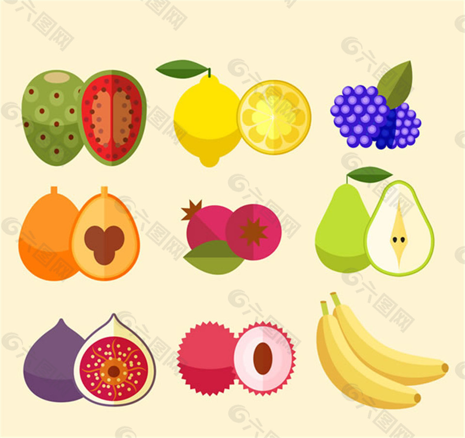9款水果和切面矢量图