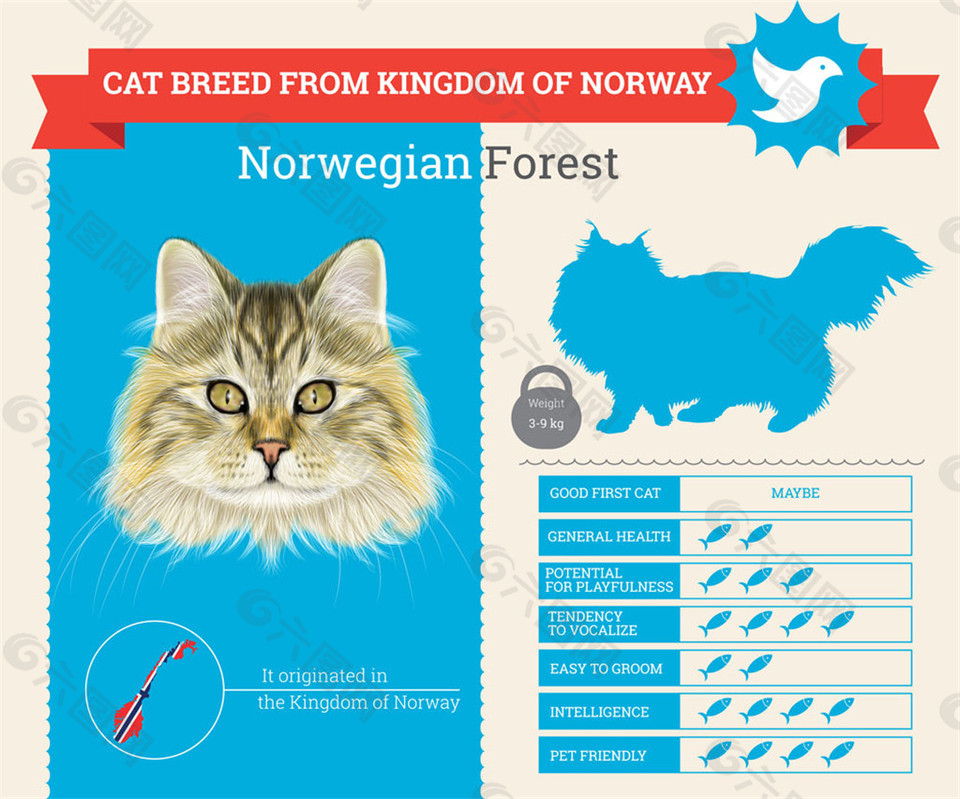 挪威猫咪漫画图片