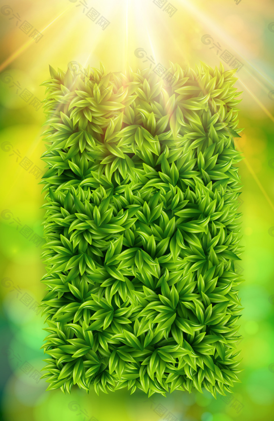 植物绿色背景
