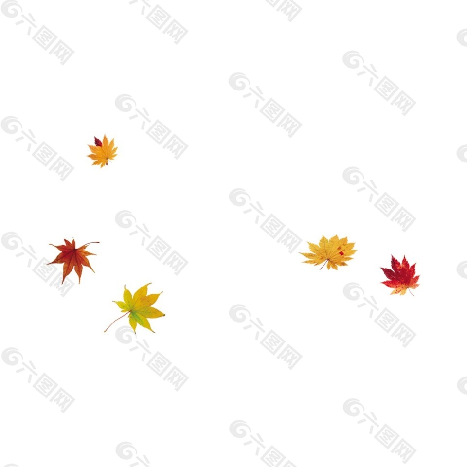 枫叶飘落金秋元素