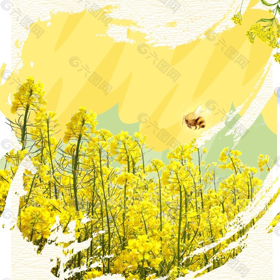 油菜花蜜蜂破碎黄色广告背景素材