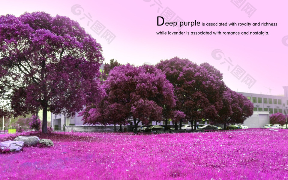 紫色浪漫背景素材