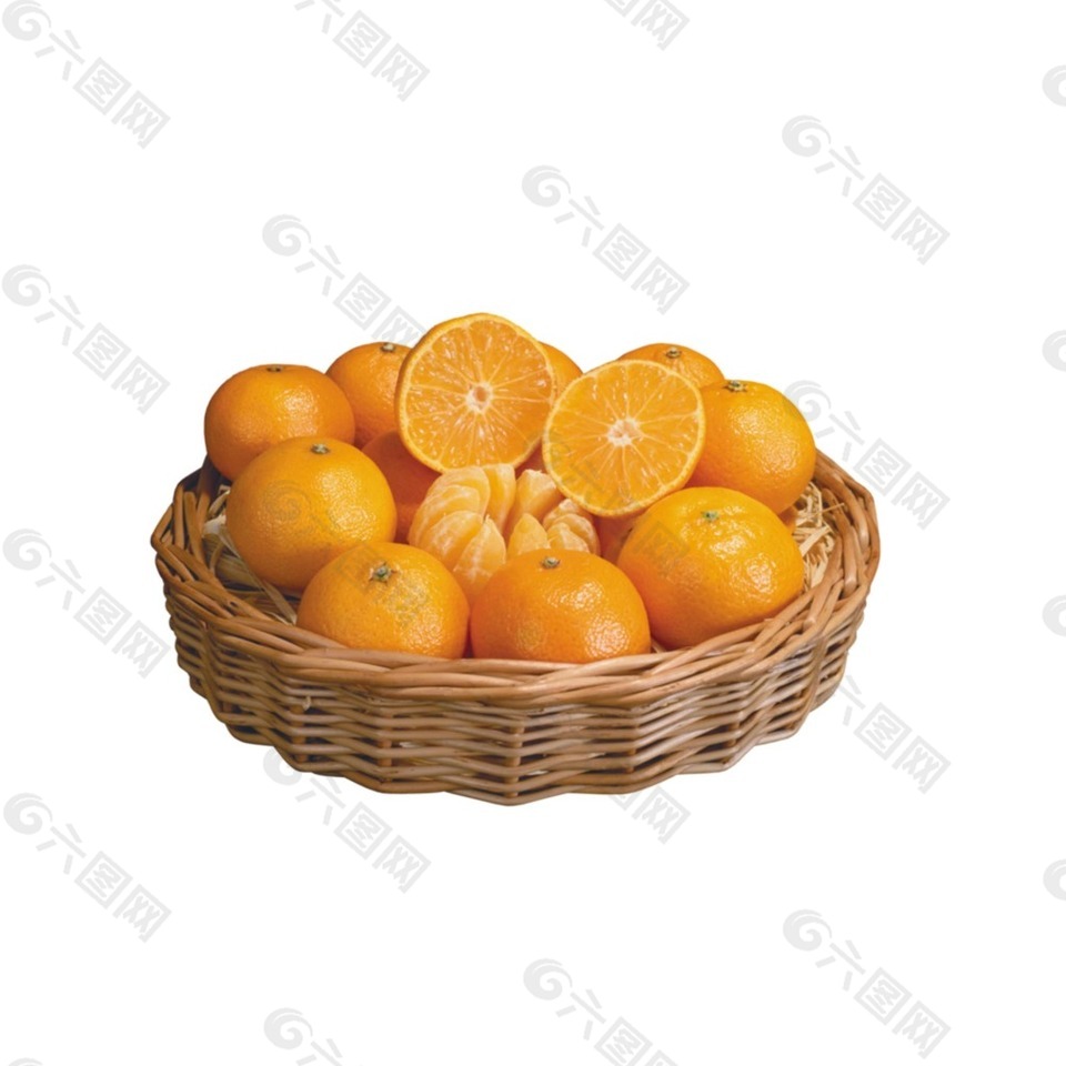 矢量水果橙子元素