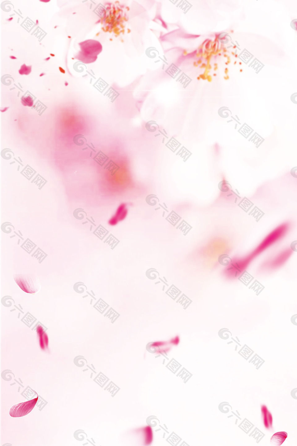 粉色花朵花蕊花瓣粉色广告素材