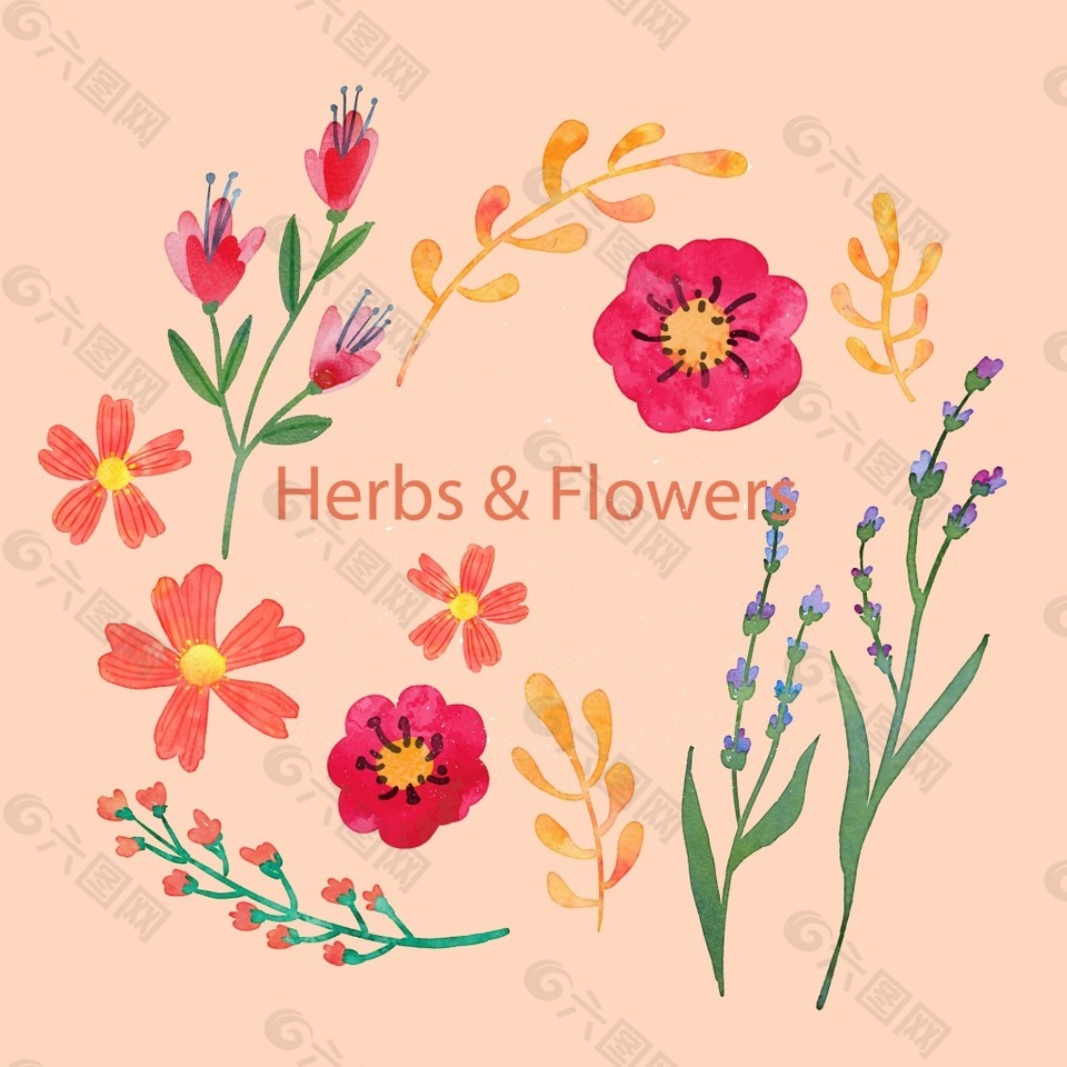 12款手绘花卉和香草