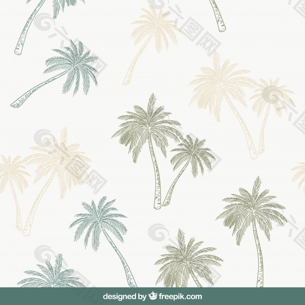 棕榈树装饰图案