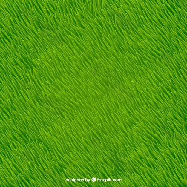 现实草的绿色背景