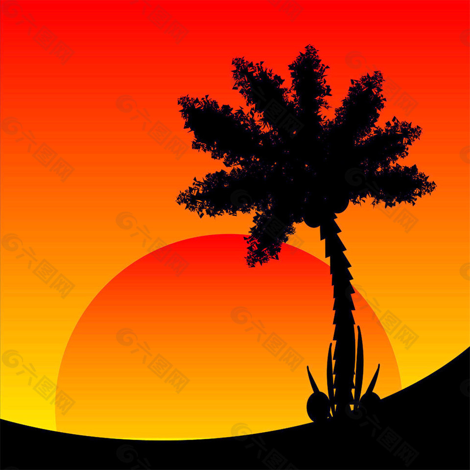 椰树与太阳图片