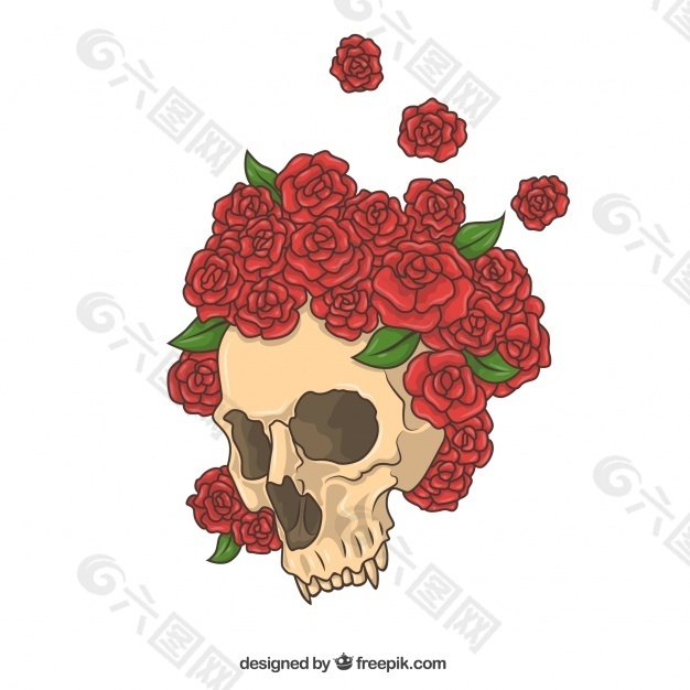 红玫瑰手绘骷髅