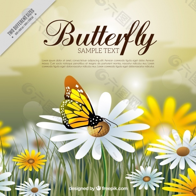 蝴蝶花和写实风格的大背景