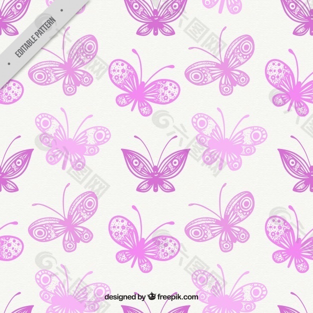 紫色蝴蝶的奇妙图案