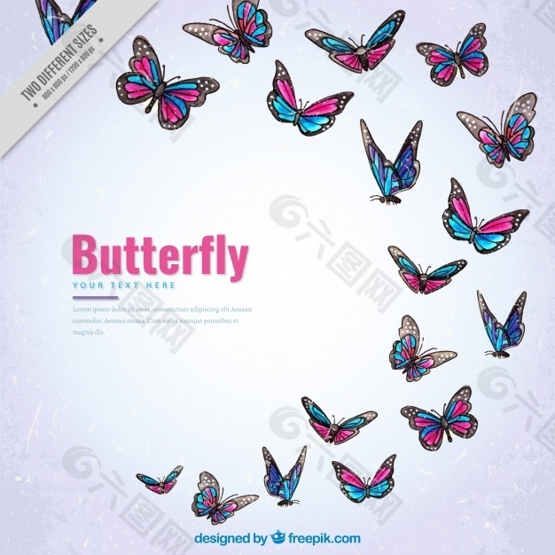 彩色蝴蝶的背景