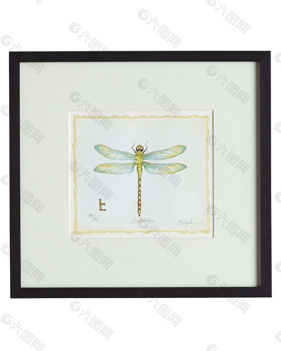 抽象蜻蜓装饰画