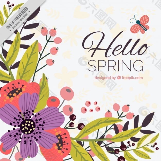 美丽的春天背景和手绘的花朵