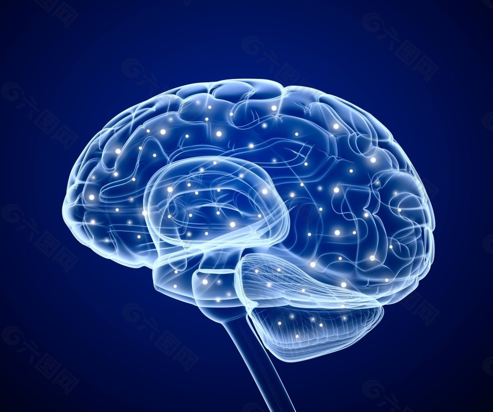 科技大脑背景图