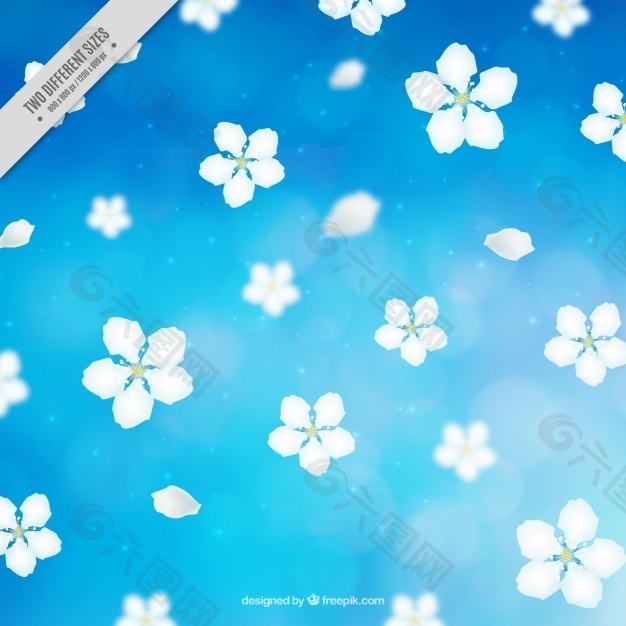 蓝色迷离背景樱花