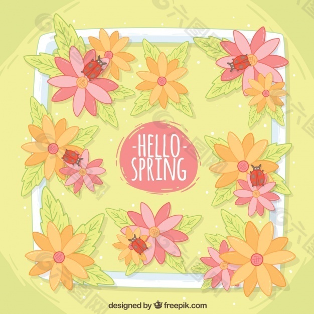 用花和瓢虫春天的背景